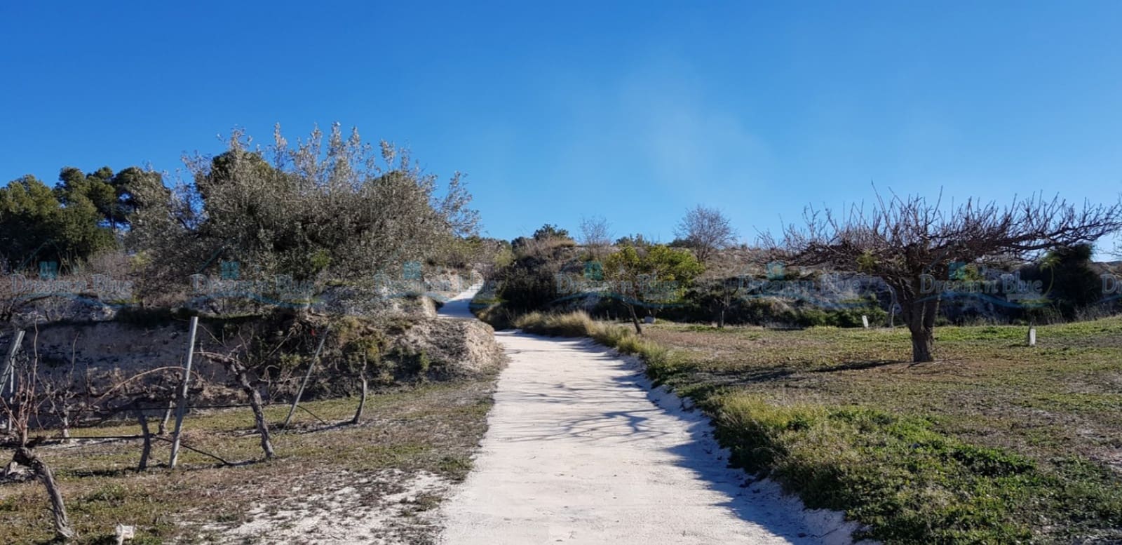 Undeveloped Land for sale in Agullent - € 65,000 (Ref: 9503609)