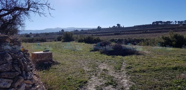 Undeveloped Land for sale in Agullent - € 65,000 (Ref: 9503609)