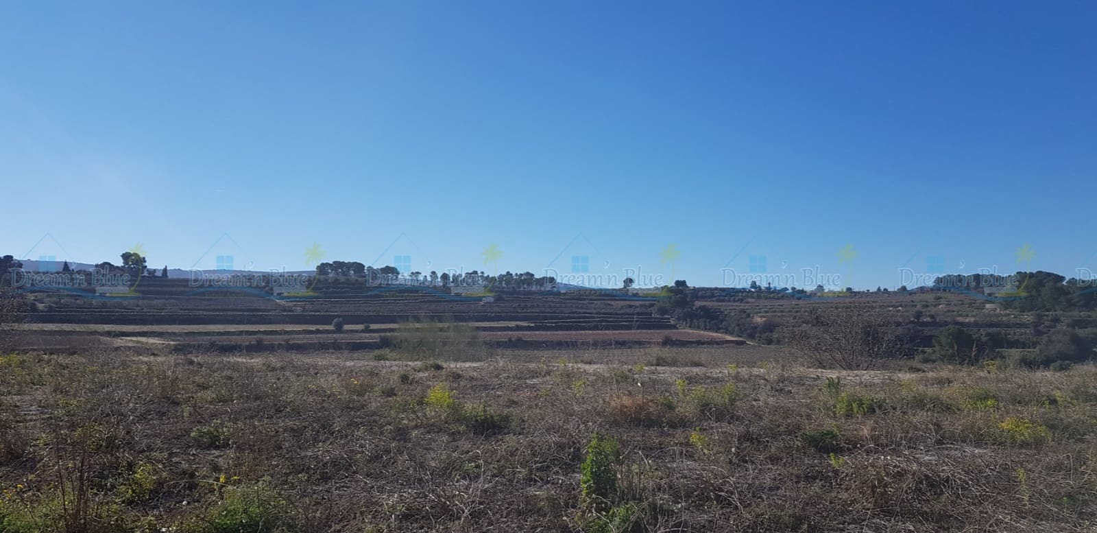 Undeveloped Land for sale in Agullent - € 65,000 (Ref: 9503609)