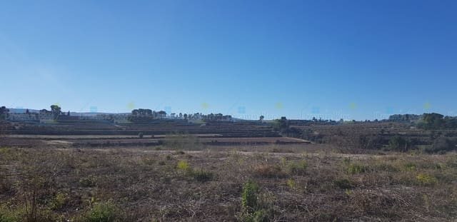 Undeveloped Land for sale in Agullent - € 65,000 (Ref: 9503609)