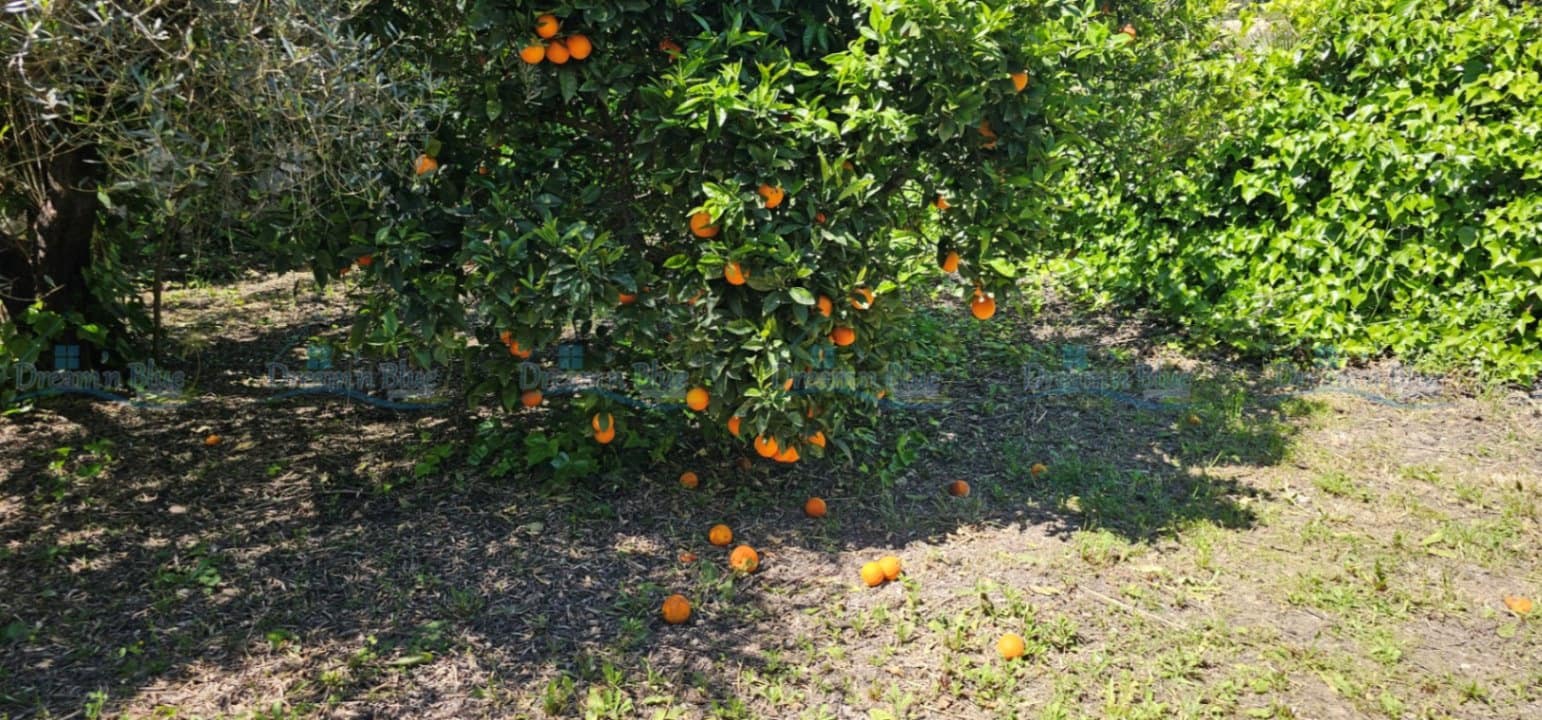 6 soveværelse Villa til salg i Ontinyent med swimmingpool garage - € 465.000 (Ref: 9786855)