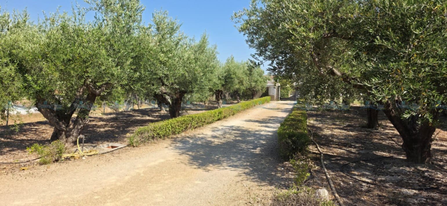 6 Zimmer Villa zu verkaufen in Ontinyent mit Pool Garage - 320.000 € (Ref: 9961677)