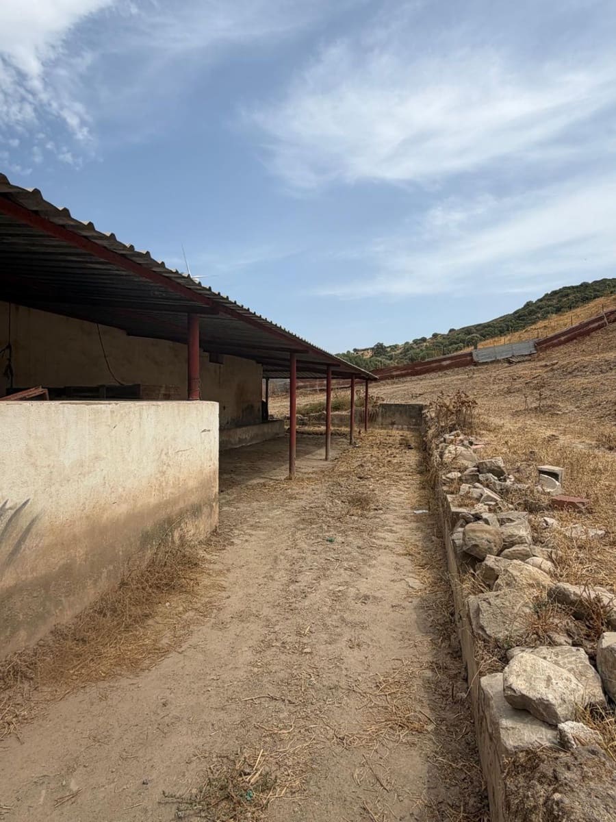 Finca/Maison de Campagne à vendre à San Martin del Tesorillo - 3 795 000 € (Ref: 10031593)