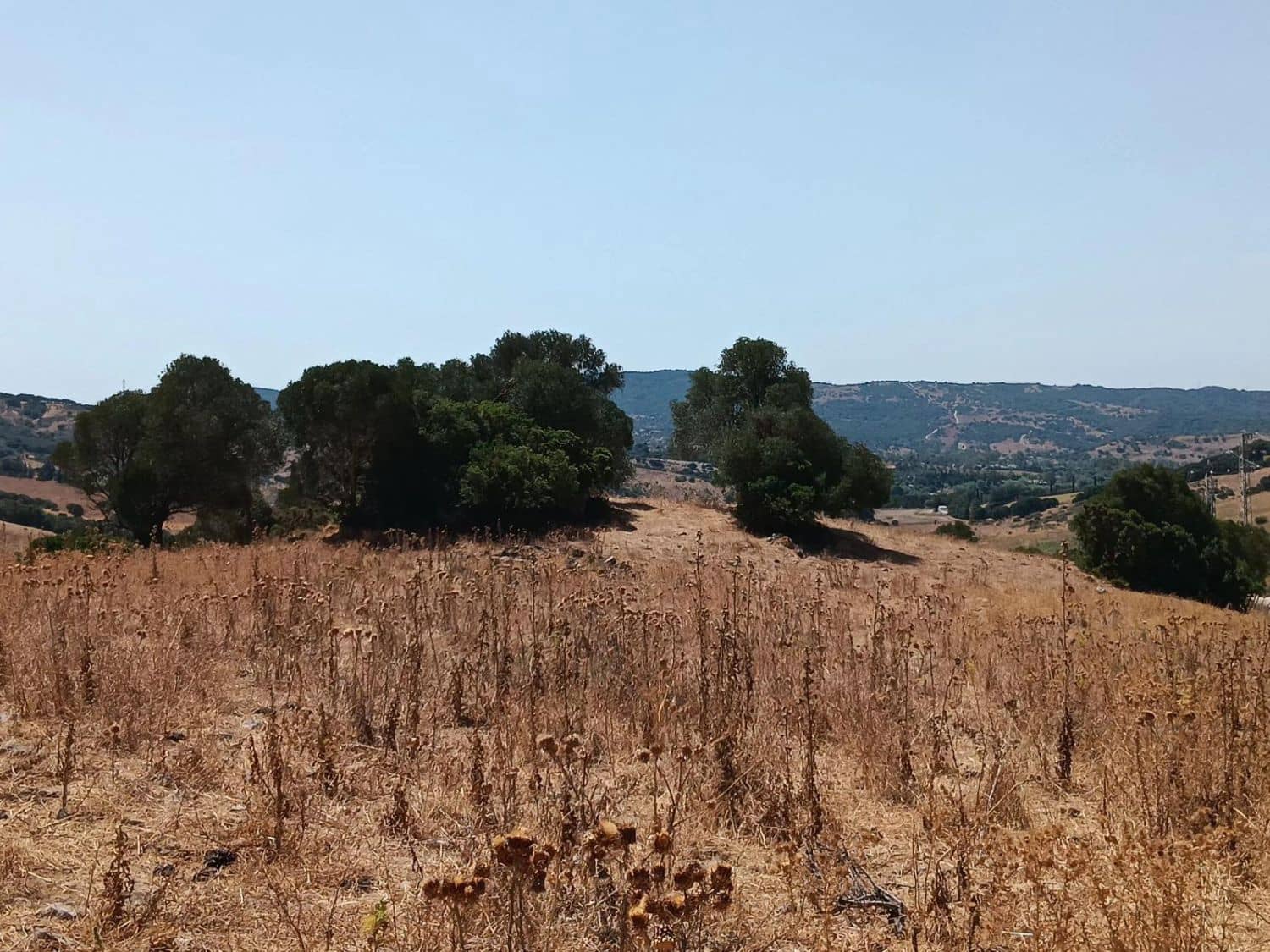 Finca/Maison de Campagne à vendre à San Martin del Tesorillo - 3 795 000 € (Ref: 10031593)