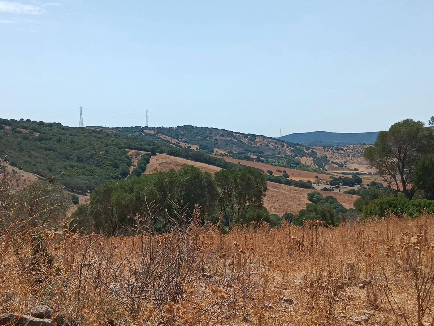 Finca/Maison de Campagne à vendre à San Martin del Tesorillo - 3 795 000 € (Ref: 10031593)