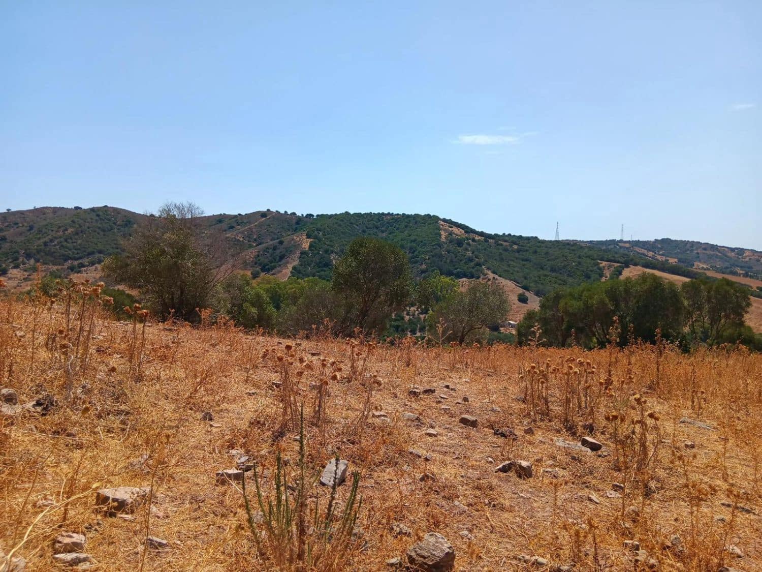 Finca/Maison de Campagne à vendre à San Martin del Tesorillo - 3 795 000 € (Ref: 10031593)