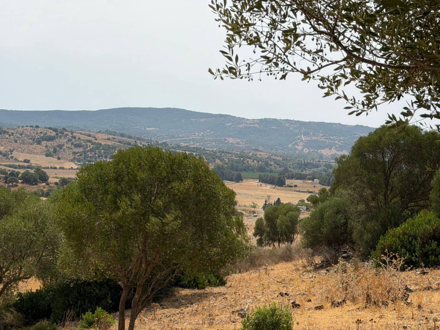 Finca/Maison de Campagne à vendre à San Martin del Tesorillo - 3 795 000 € (Ref: 10031593)