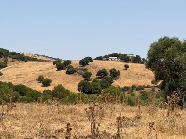 Finca/Maison de Campagne à vendre à San Martin del Tesorillo - 3 795 000 € (Ref: 10031593)