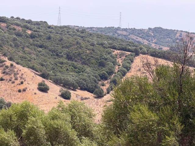 Finca/Maison de Campagne à vendre à San Martin del Tesorillo - 3 795 000 € (Ref: 10031593)