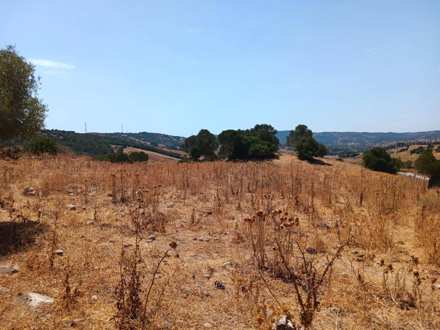 Finca/Maison de Campagne à vendre à San Martin del Tesorillo - 3 795 000 € (Ref: 10031593)