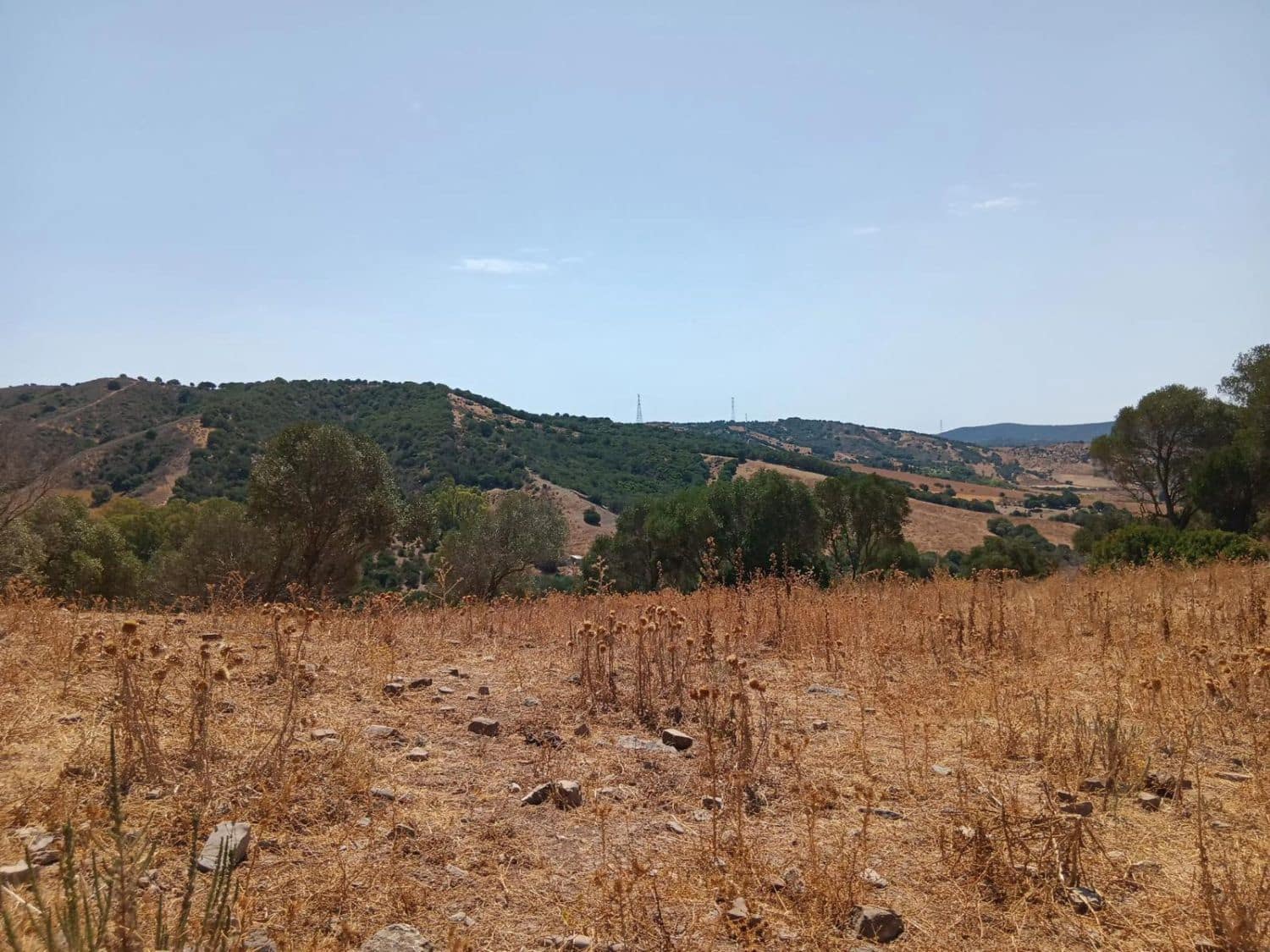 Finca/Maison de Campagne à vendre à San Martin del Tesorillo - 3 795 000 € (Ref: 10031593)