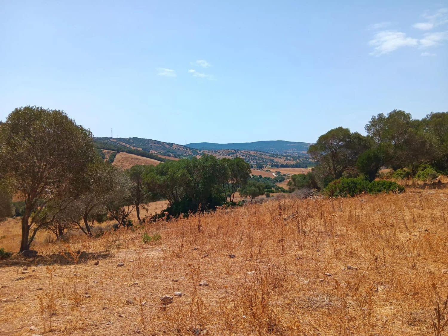 Finca/Maison de Campagne à vendre à San Martin del Tesorillo - 3 795 000 € (Ref: 10031593)
