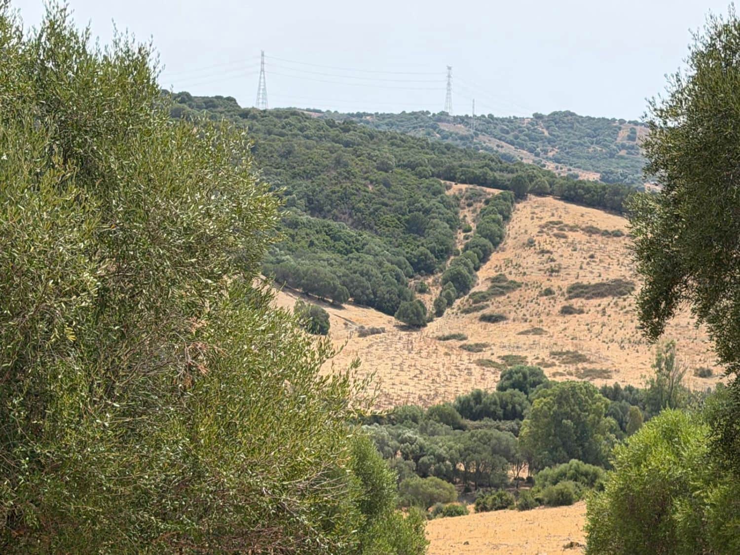 Finca/Maison de Campagne à vendre à San Martin del Tesorillo - 3 795 000 € (Ref: 10031593)