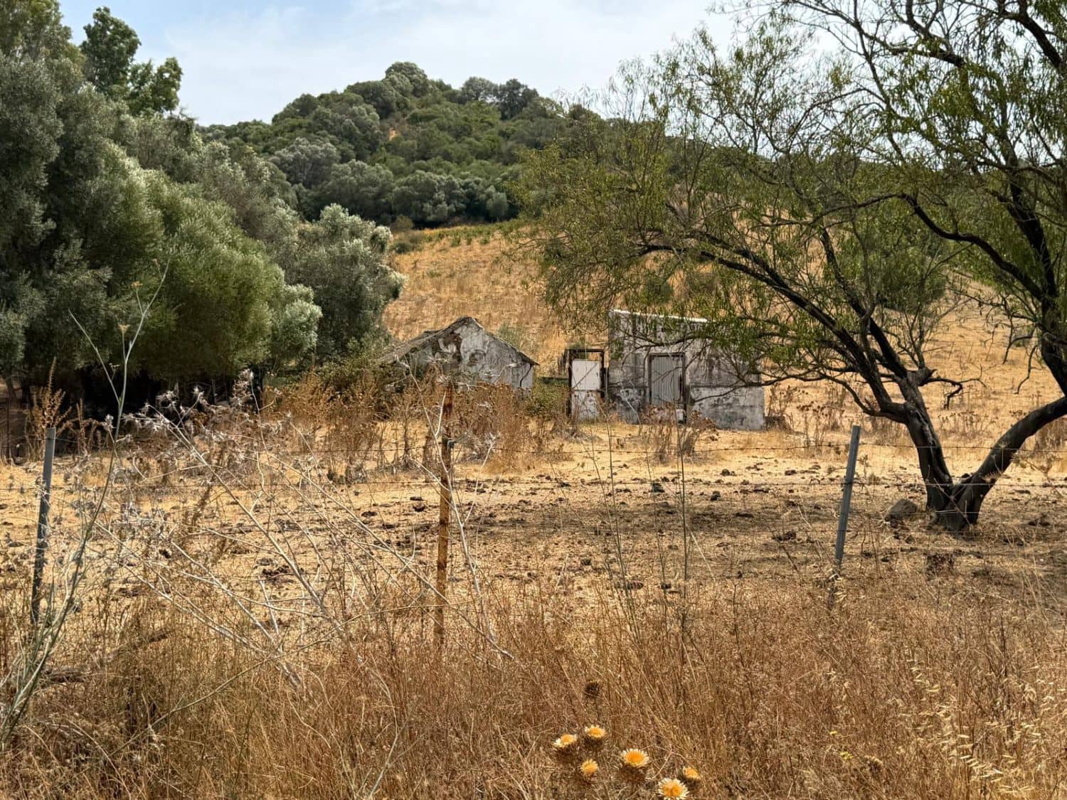 Finca/Maison de Campagne à vendre à San Martin del Tesorillo - 3 795 000 € (Ref: 10031593)
