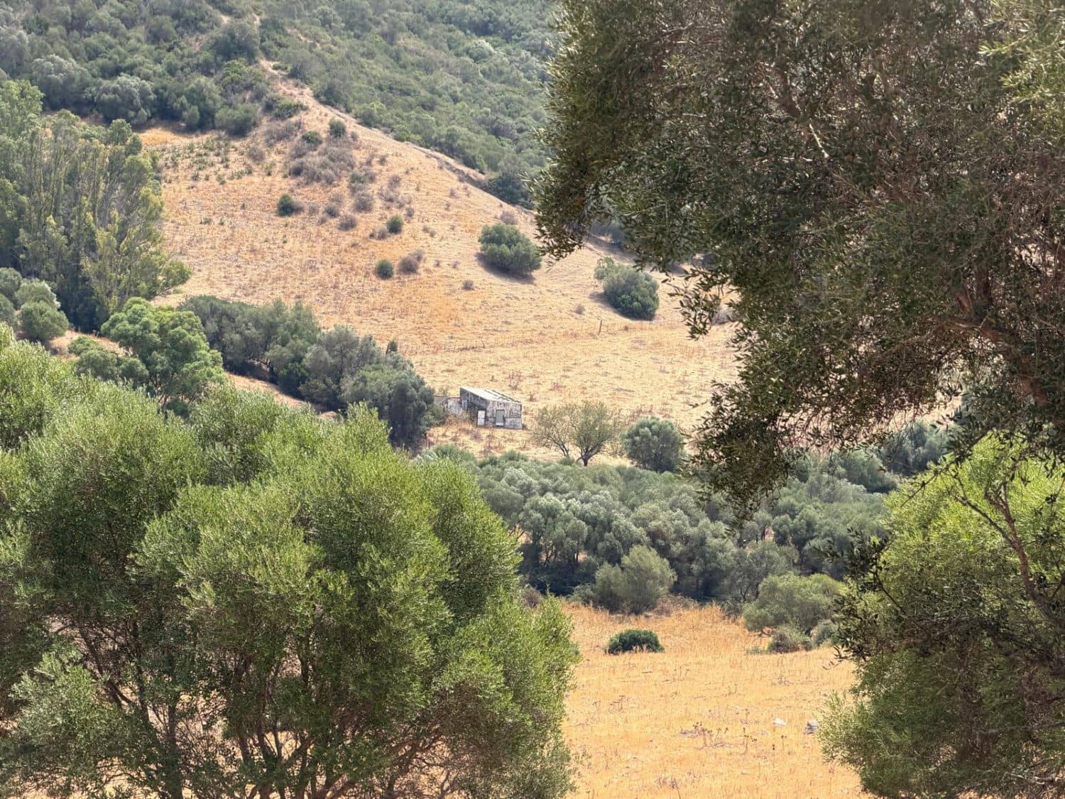 Finca/Maison de Campagne à vendre à San Martin del Tesorillo - 3 795 000 € (Ref: 10031593)