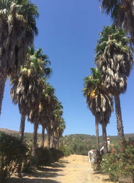 3 bedroom Finca/Country House for sale in San Martin del Tesorillo - € 1,200,000 (Ref: 10046992)