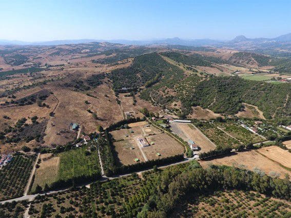 3 bedroom Finca/Country House for sale in San Martin del Tesorillo - € 1,200,000 (Ref: 10046992)
