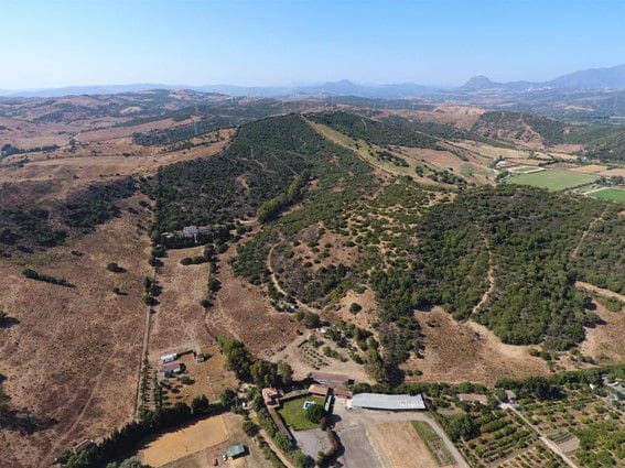 3 bedroom Finca/Country House for sale in San Martin del Tesorillo - € 1,200,000 (Ref: 10046992)