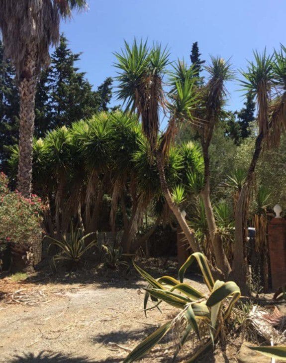 3 bedroom Finca/Country House for sale in San Martin del Tesorillo - € 1,200,000 (Ref: 10046992)