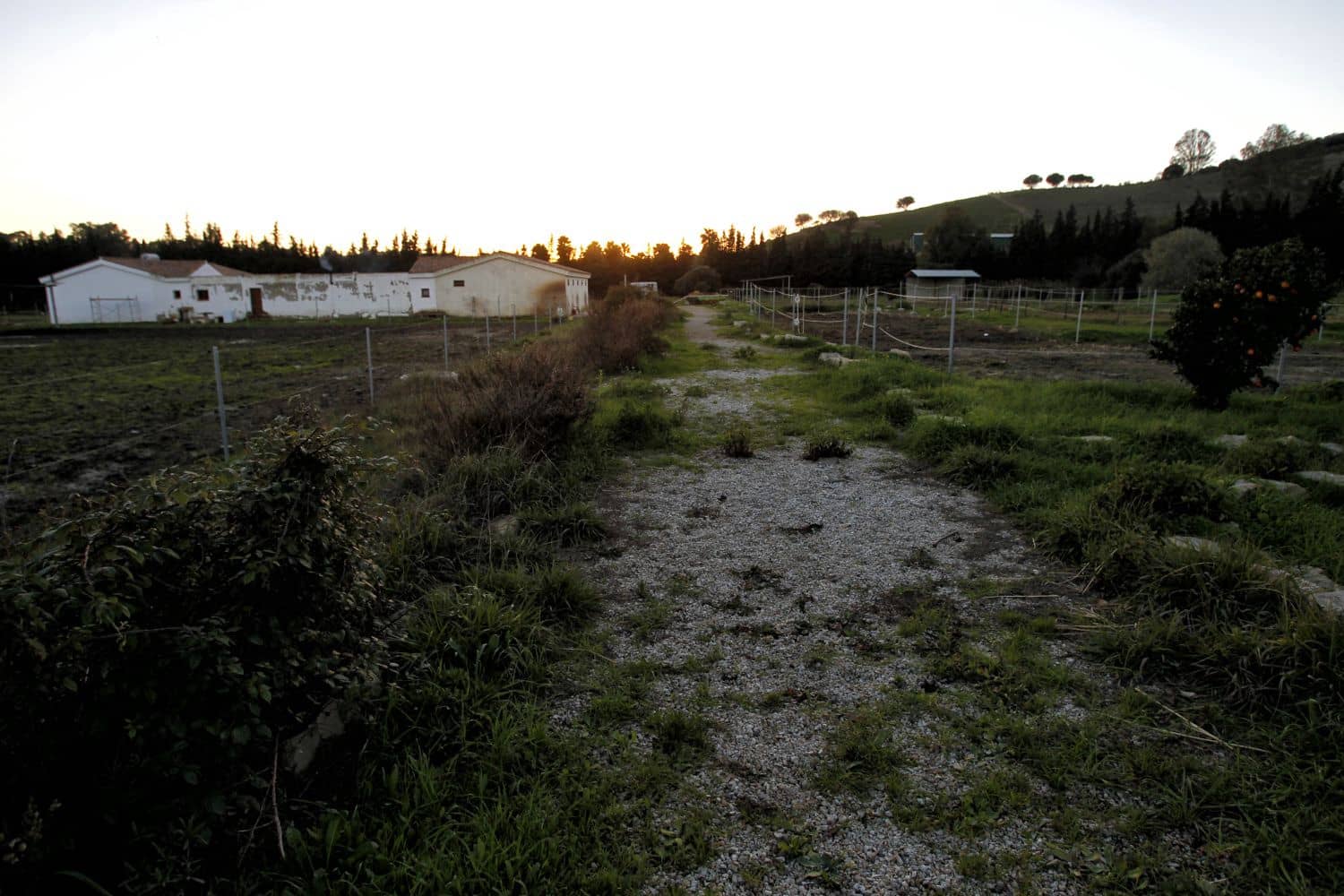 3 bedroom Finca/Country House for sale in San Martin del Tesorillo - € 1,200,000 (Ref: 10046992)