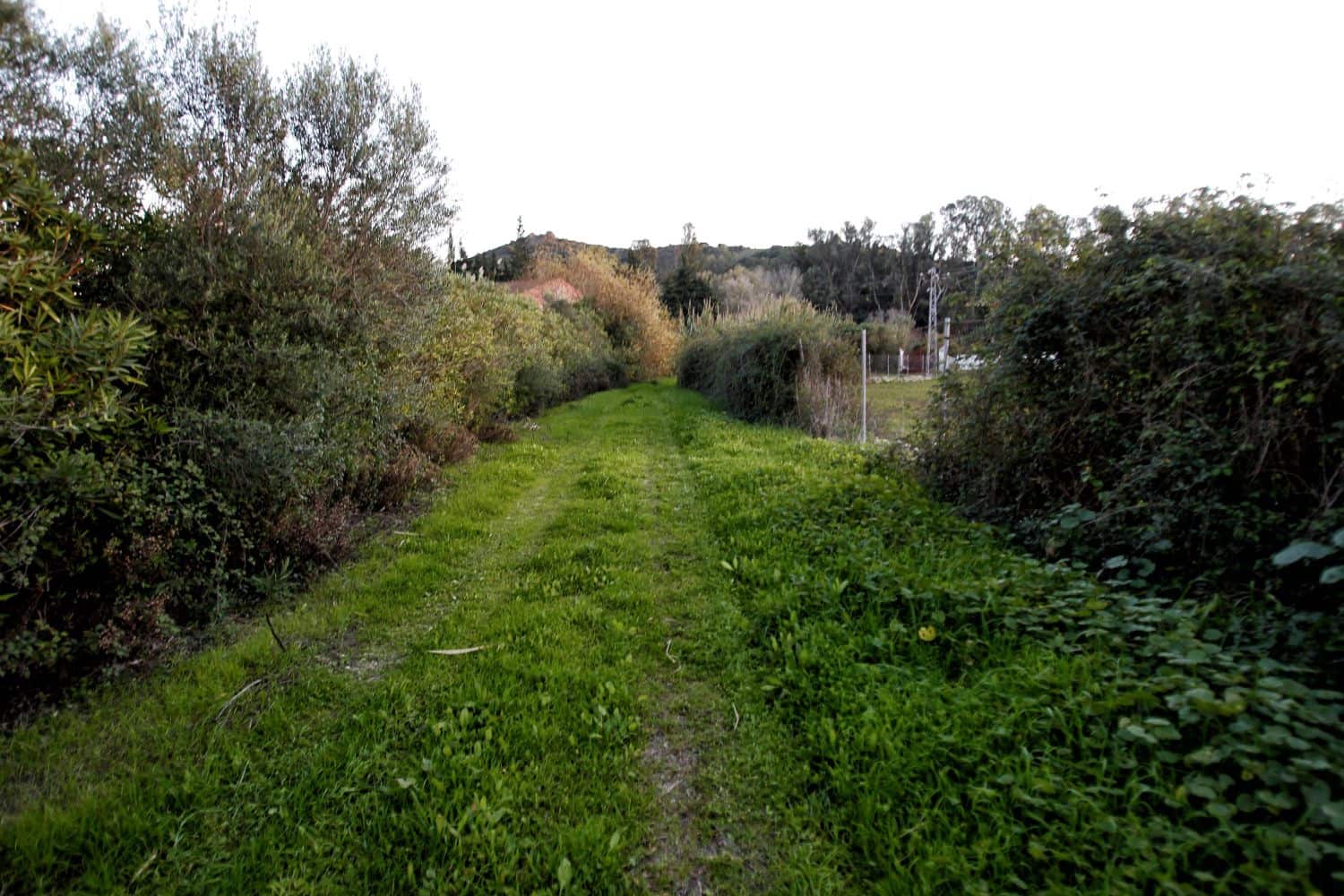 3 bedroom Finca/Country House for sale in San Martin del Tesorillo - € 1,200,000 (Ref: 10046992)