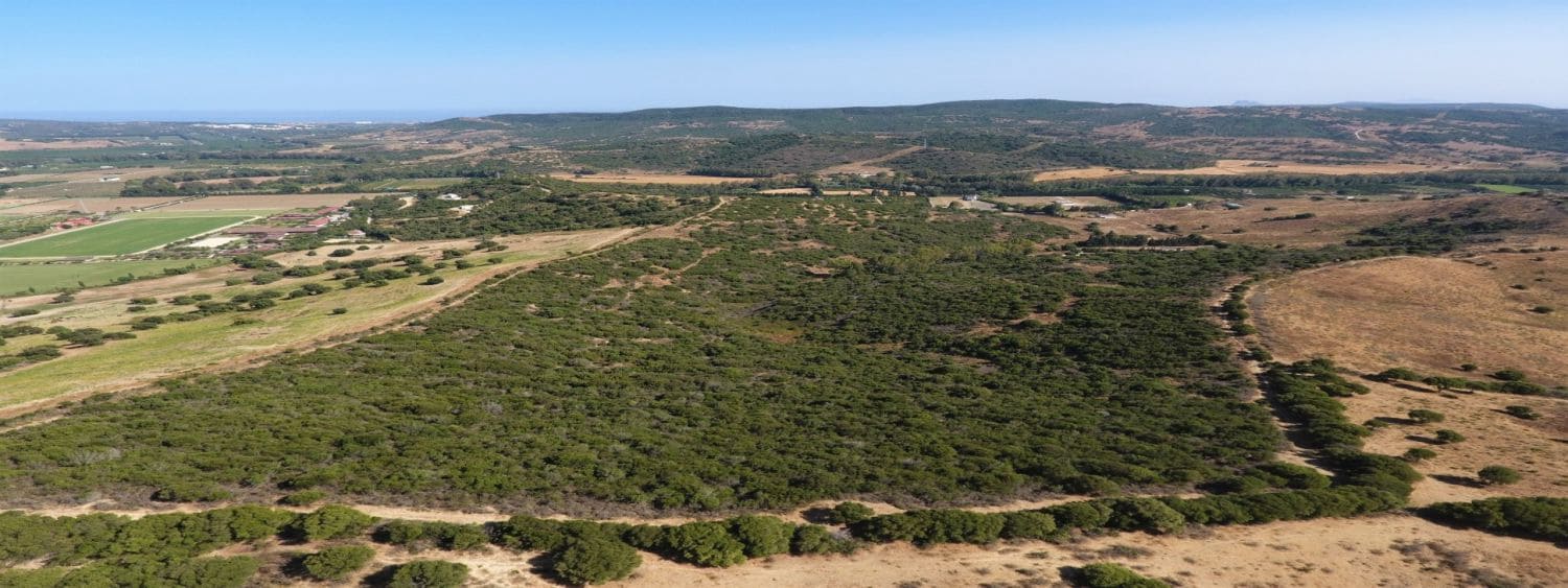 3 bedroom Finca/Country House for sale in San Martin del Tesorillo - € 1,200,000 (Ref: 10046992)