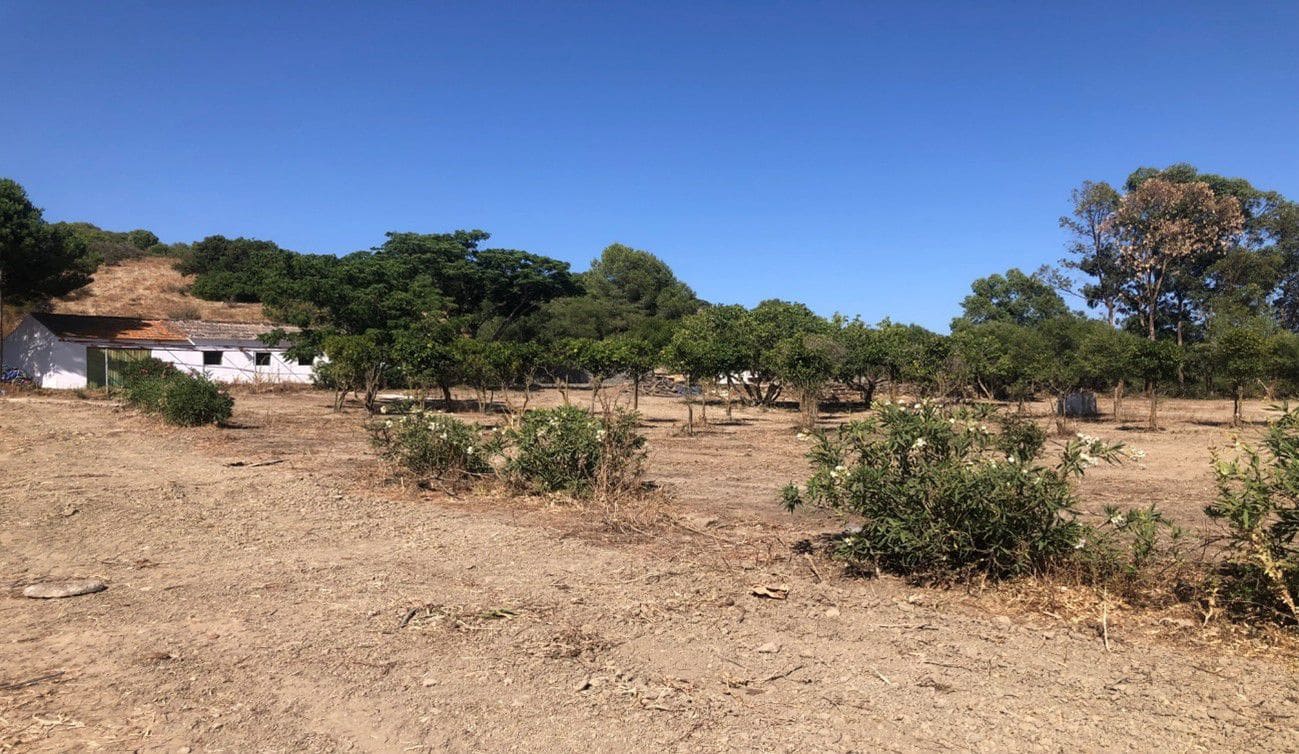 3 bedroom Finca/Country House for sale in San Martin del Tesorillo - € 1,200,000 (Ref: 10046992)