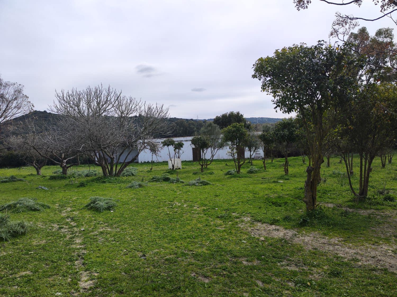 3 bedroom Finca/Country House for sale in San Martin del Tesorillo - € 1,200,000 (Ref: 10046992)
