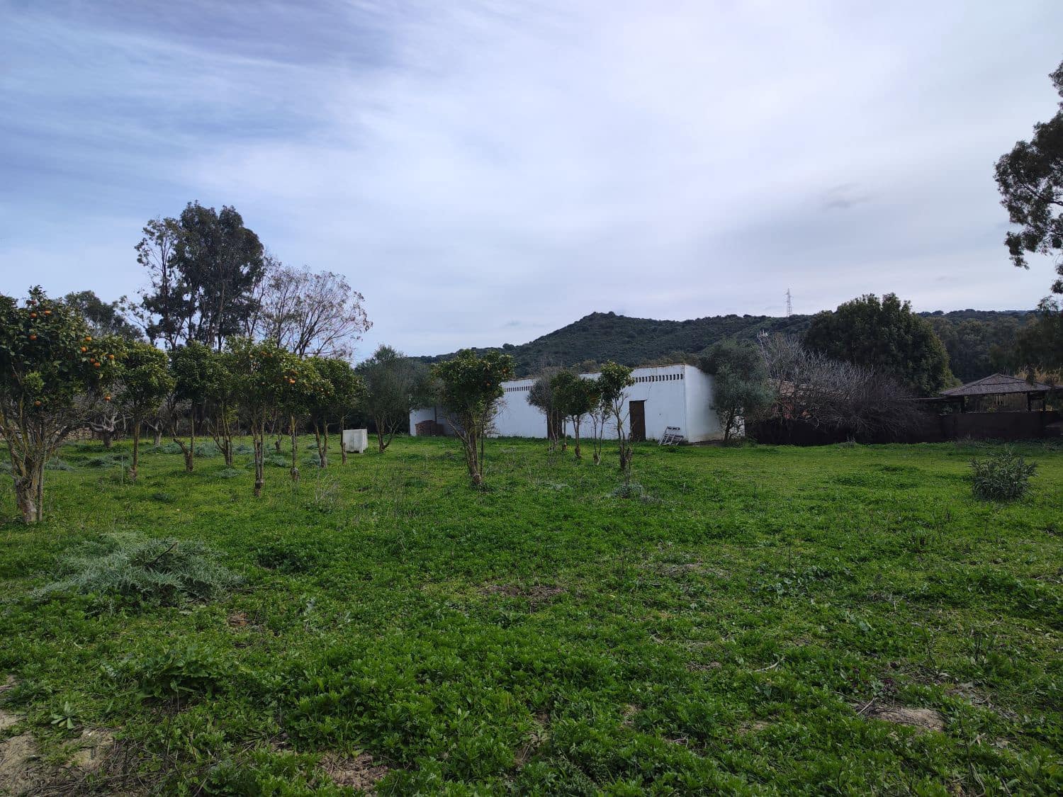 3 bedroom Finca/Country House for sale in San Martin del Tesorillo - € 1,200,000 (Ref: 10046992)