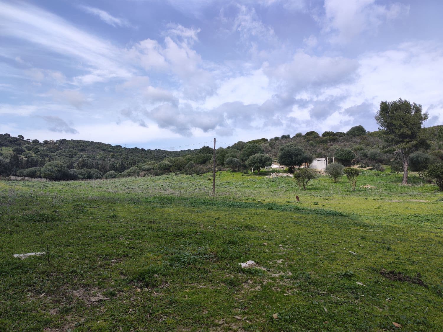 3 bedroom Finca/Country House for sale in San Martin del Tesorillo - € 1,200,000 (Ref: 10046992)