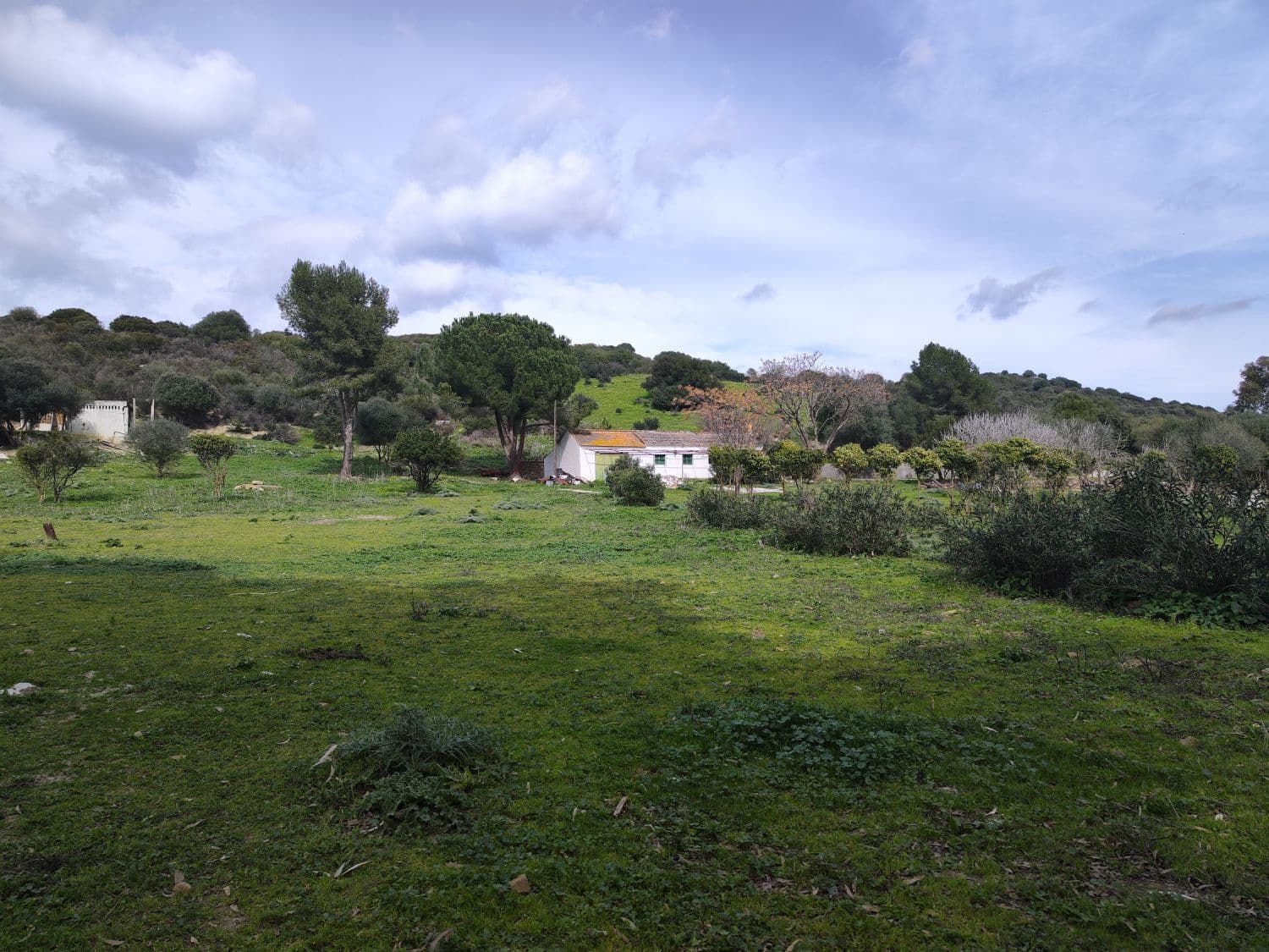 3 bedroom Finca/Country House for sale in San Martin del Tesorillo - € 1,200,000 (Ref: 10046992)