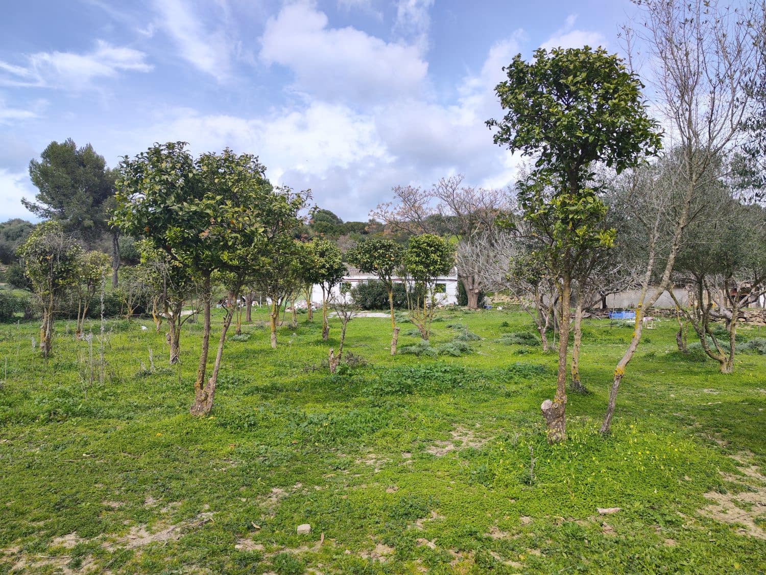 3 bedroom Finca/Country House for sale in San Martin del Tesorillo - € 1,200,000 (Ref: 10046992)