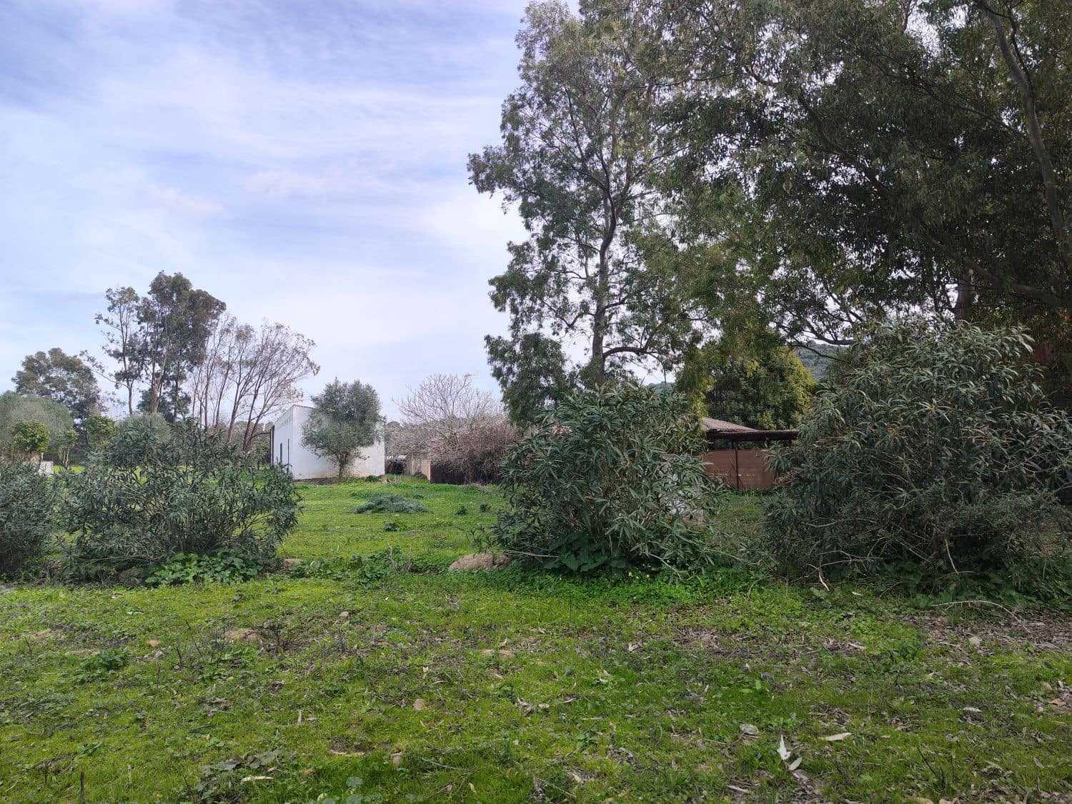 3 bedroom Finca/Country House for sale in San Martin del Tesorillo - € 1,200,000 (Ref: 10046992)