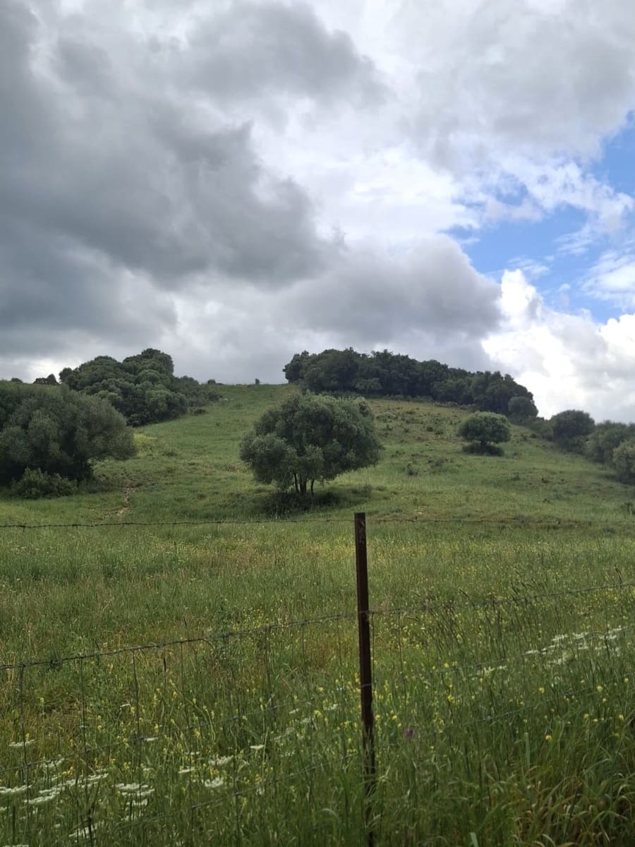 Finca/Casa di Campagna in vendita in Casares - 1.050.000 € (Rif: 10118941)