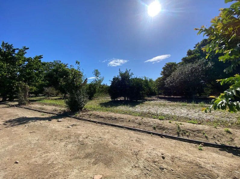Finca/Maison de Campagne à vendre à San Enrique de Guadiaro - 280 000 € (Ref: 10176912)