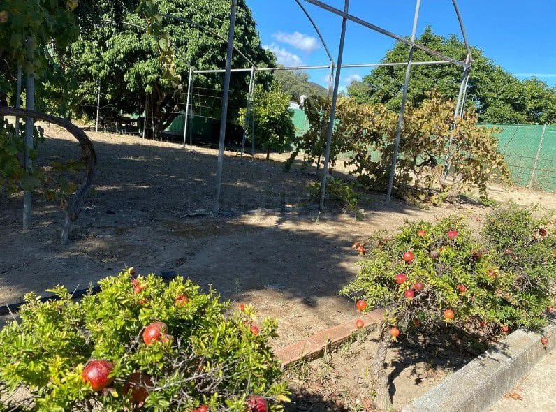 Finca/Maison de Campagne à vendre à San Enrique de Guadiaro - 280 000 € (Ref: 10176912)