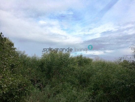 Grunde uden byggetilladelser til salg i Sotogrande - € 695.000 (Ref: 4106168)