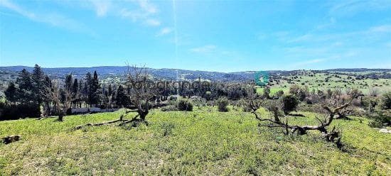 3 chambre Finca/Maison de Campagne à vendre à San Martin del Tesorillo - 600 000 € (Ref: 4241364)