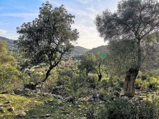 Finca/Landehus til salg i Gaucín - € 665.000 (Ref: 4667229)