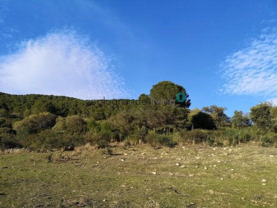 Finca/Landehus til salg i Gaucin - € 665.000 (Ref: 4667229)