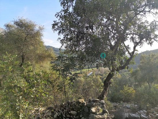 Finca/Landehus til salg i Gaucin - € 665.000 (Ref: 4667229)