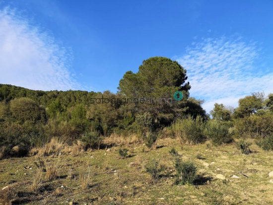 Finca/Landehus til salg i Gaucin - € 665.000 (Ref: 4667229)