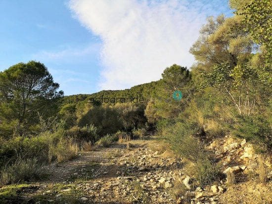 Finca/Landehus til salg i Gaucin - € 665.000 (Ref: 4667229)