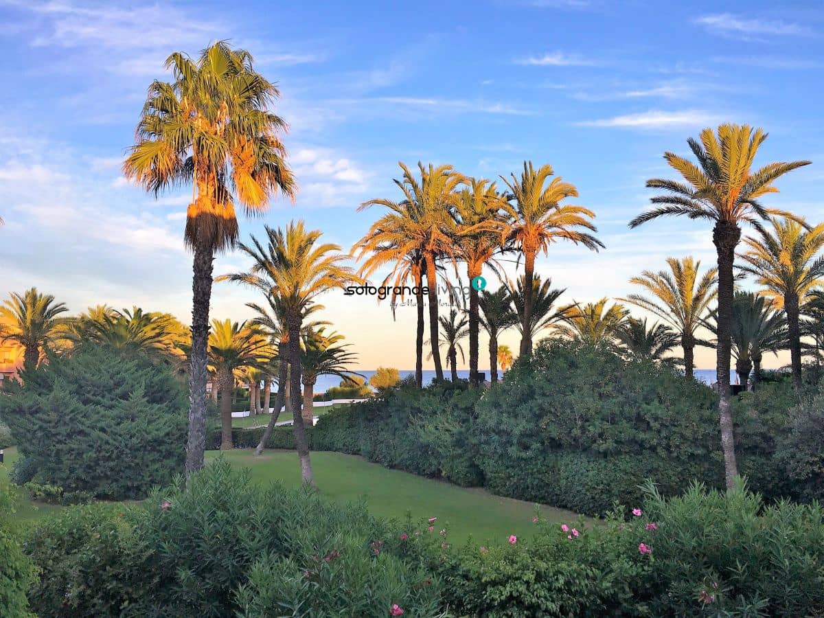 2 sypialnia Apartament do wynajęcia w Sotogrande z garażem - 1 400 € (Ref: 5341182)