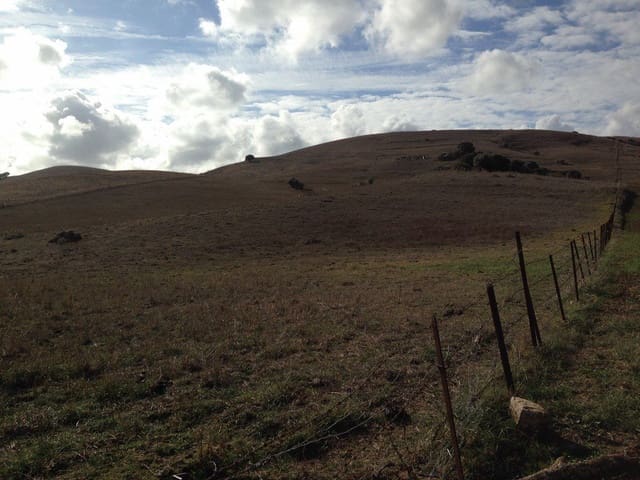 Finca/Landehus til salg i Jimena de la Frontera - € 265.000 (Ref: 5655590)