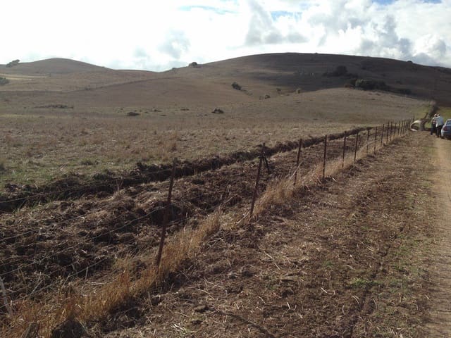 Finca/Landehus til salg i Jimena de la Frontera - € 265.000 (Ref: 5655590)