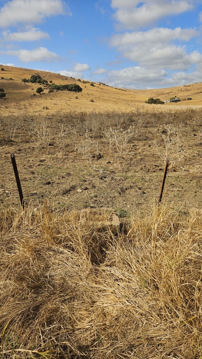 Maalaistalo myytävänä paikassa Jimena de la Frontera - 265 000 € (Ref: 5655590)