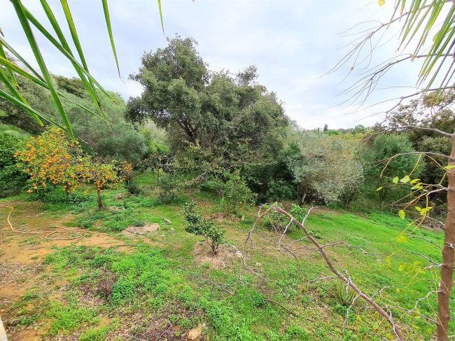 6 bedroom Villa for sale in Sotogrande with garage - € 1,450,000 (Ref: 5722826)