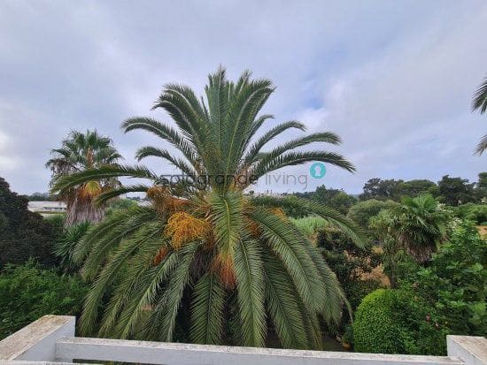 3 bedroom Apartment for sale in Sotogrande with garage - € 340,000 (Ref: 6447869)