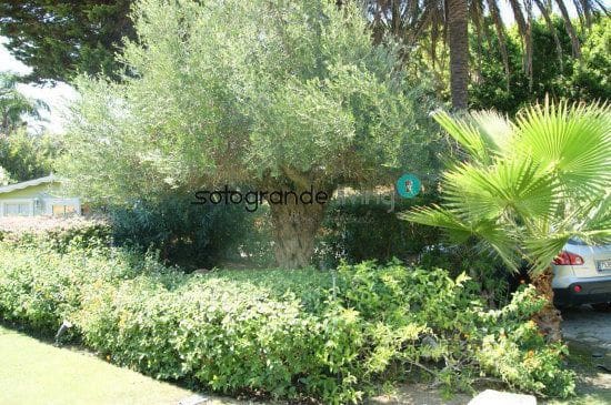 10 bedroom Villa for holiday rental in Sotogrande - € 8,750 (Ref: 7154188)